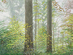 Sternwald 1, 2015, Öl auf Leinwand, 30 x 40 cm