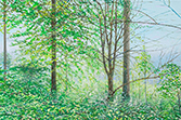 Sternwald 9, 2020, Öl auf Leinwand, 40 x 60 cm