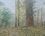 Sternwald 10, 2017-26, Öl auf Leinwand, 120 x 150 cm