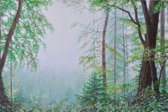 Sternwald 4, 2020, Öl auf Leinwand, 40 x 60 cm, 1,700,- mit Rh.