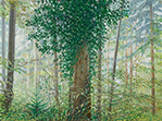 Sternwald 3, 2015, Öl auf Leinwand, 30 x 40 cm