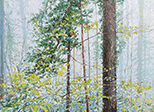 Sternwald 1, 2021, Öl auf Leinwand, 30 x 40 cm